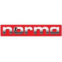 Norma - Brass - 220 Swift Unprimed 25/Box*